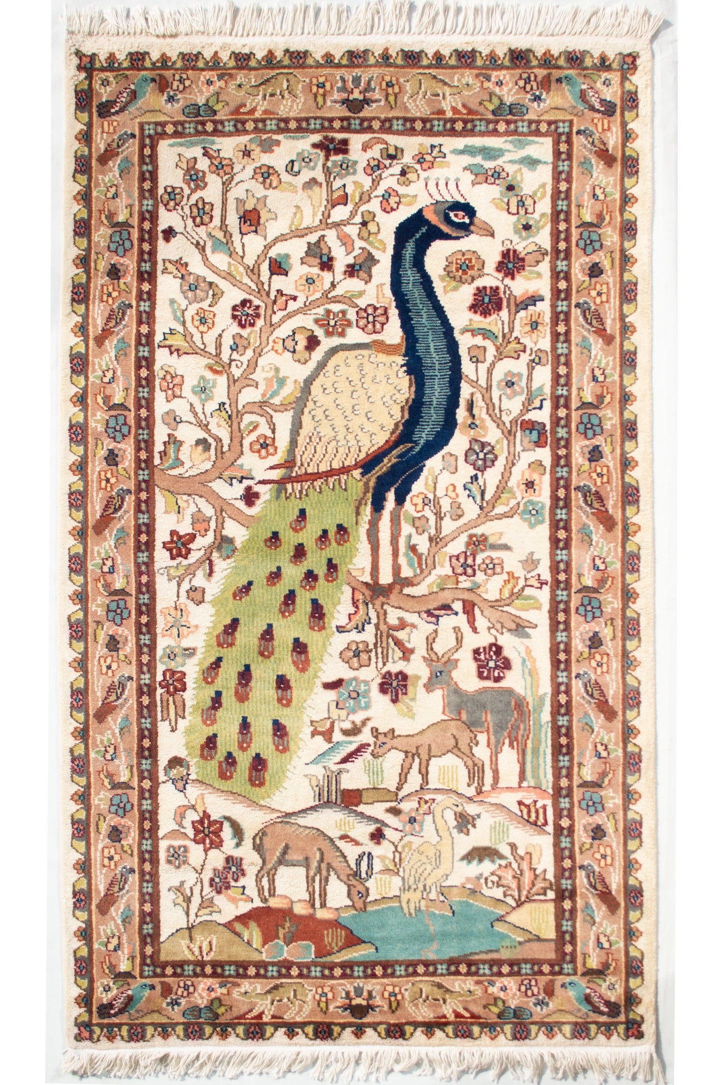 Peacock Pictorial Rug - 3x5